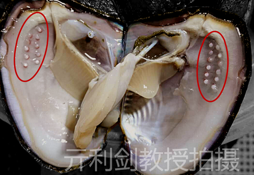 微信圖片_20220628172835_調整大小.png