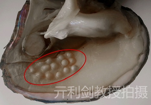 微信圖片_20220628172838_調整大小.png
